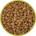 product-الرئيسية