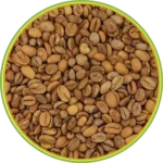 product-الرئيسية