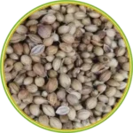 product-الرئيسية product-الرئيسية
