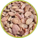 product-الرئيسية