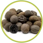 product-الرئيسية