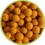 product-الرئيسية