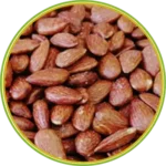 product-الرئيسية
