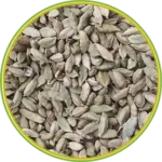 product-الرئيسية