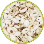 product-الرئيسية product-الرئيسية