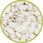 product-الرئيسية