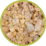 product-الرئيسية
