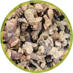 product-الرئيسية