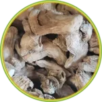 product-الرئيسية
