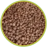 product-الرئيسية