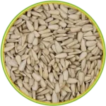 product-الرئيسية