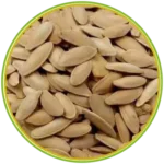 product-الرئيسية