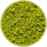 product-الرئيسية