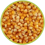product-الرئيسية