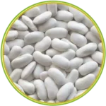 product-الرئيسية