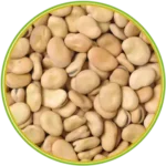 product-الرئيسية