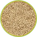 product-الرئيسية product-الرئيسية