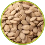 product-الرئيسية