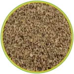 product-الرئيسية