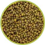 product-الرئيسية product-الرئيسية