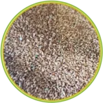 product-الرئيسية