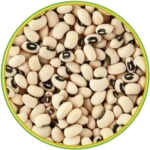 product-الرئيسية