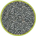 product-الرئيسية