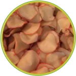 product-الرئيسية
