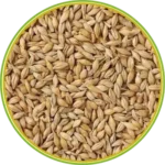 product-الرئيسية