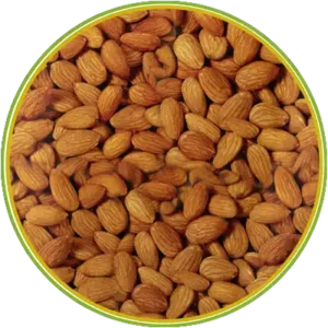 product-الرئيسية